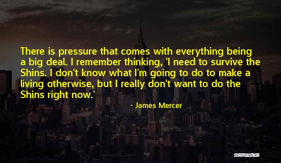 Ziaya Poland Quotes By James Mercer Ziaya Poland Quotes By James Mercer