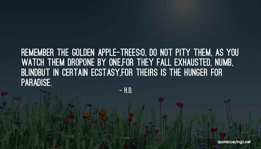 Zichichi Quotes By H.D. Zichichi Quotes By H.D.