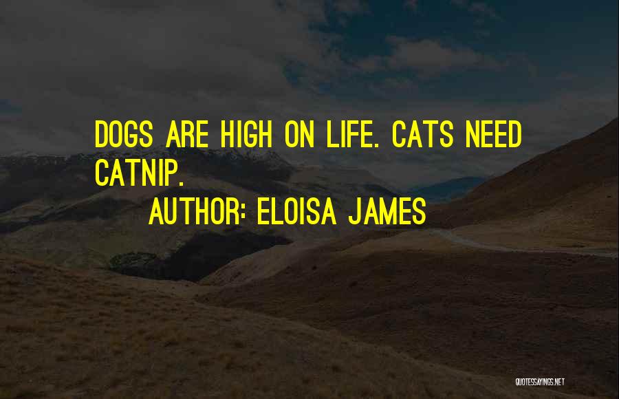 Zico Funny Quotes By Eloisa James