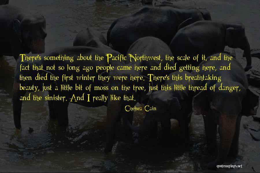 Zidea Global Media Quotes By Chelsea Cain Zidea Global Media Quotes By Chelsea Cain