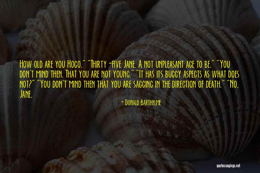 Ziedonis Laiks Quotes By Donald Barthelme Ziedonis Laiks Quotes By Donald Barthelme