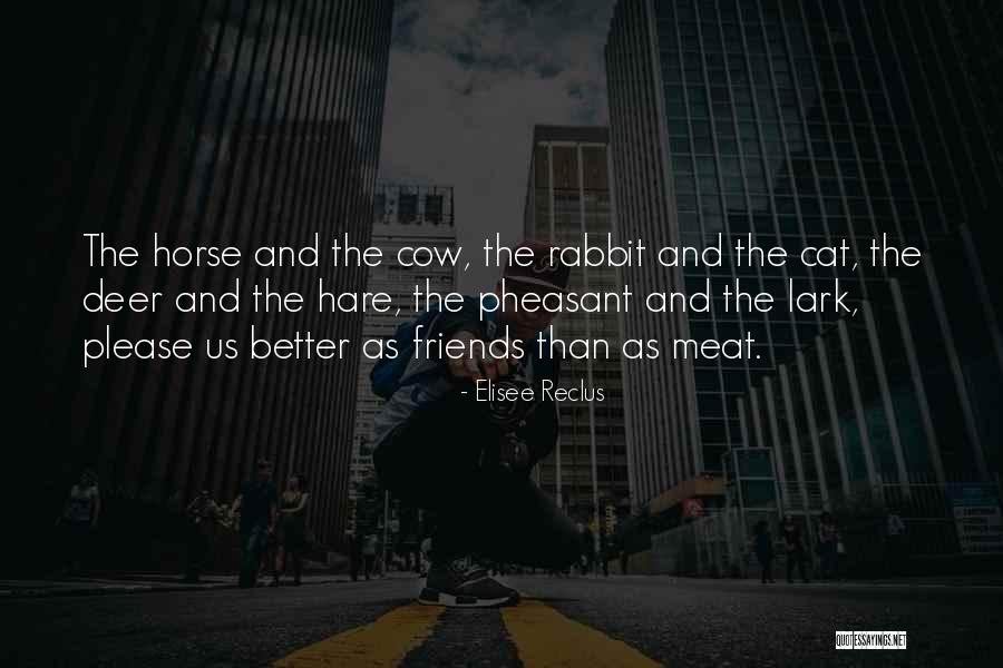 Ziedonis Laiks Quotes By Elisee Reclus Ziedonis Laiks Quotes By Elisee Reclus