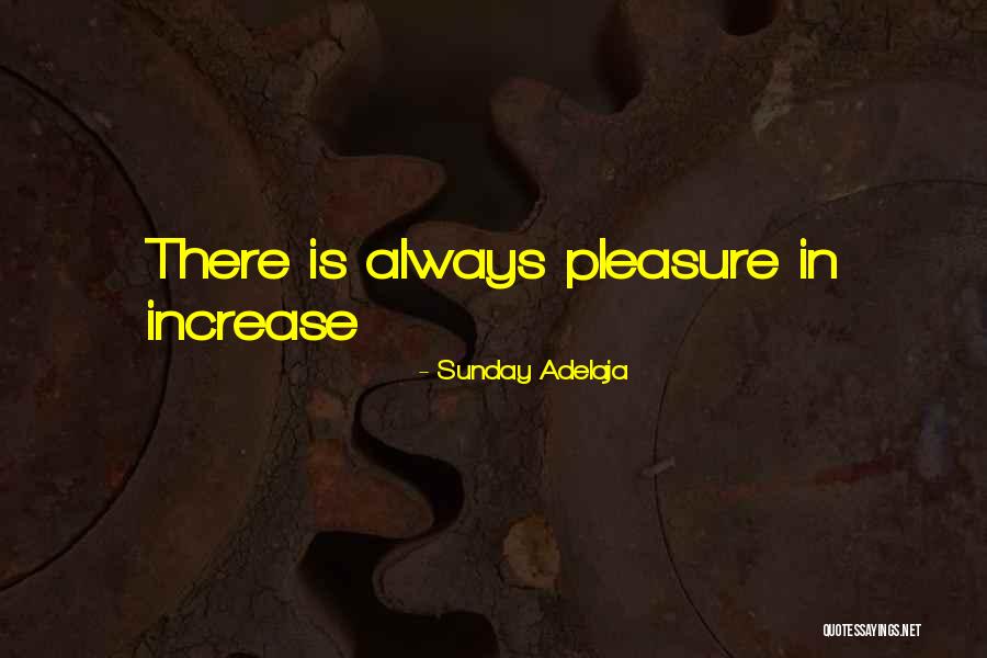 Ziegelbaum Quotes By Sunday Adelaja
