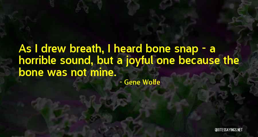 Zielony Parapet Quotes By Gene Wolfe Zielony Parapet Quotes By Gene Wolfe