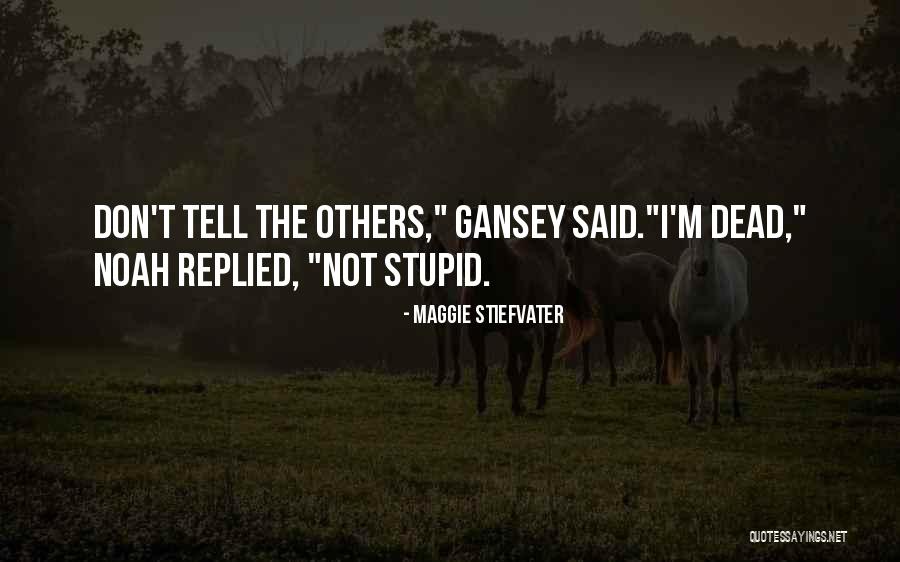 Ziennasonne Quotes By Maggie Stiefvater Ziennasonne Quotes By Maggie Stiefvater