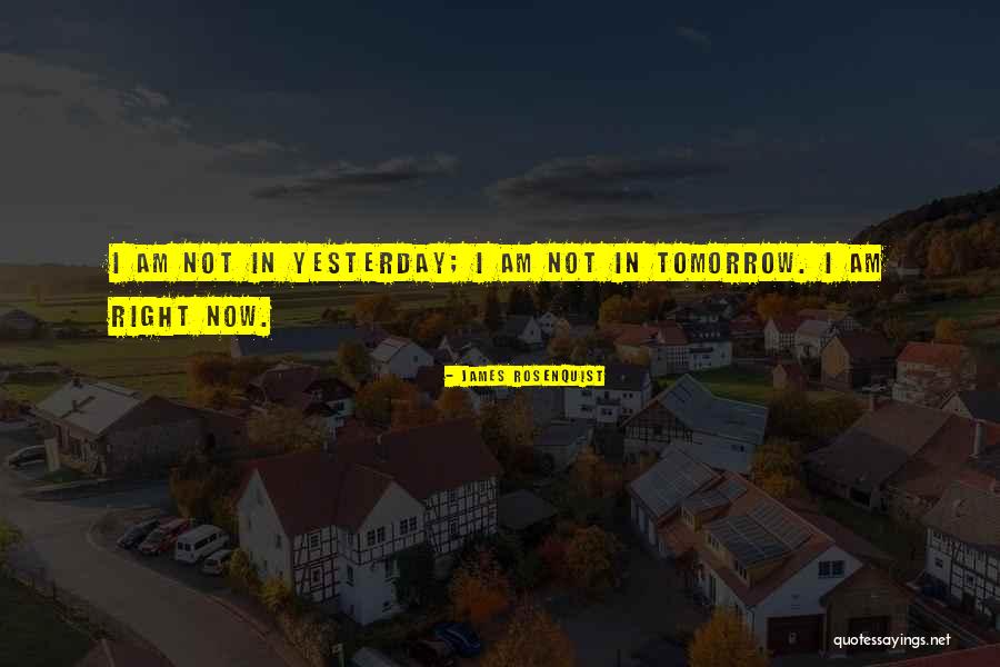 Zientek Homes Quotes By James Rosenquist