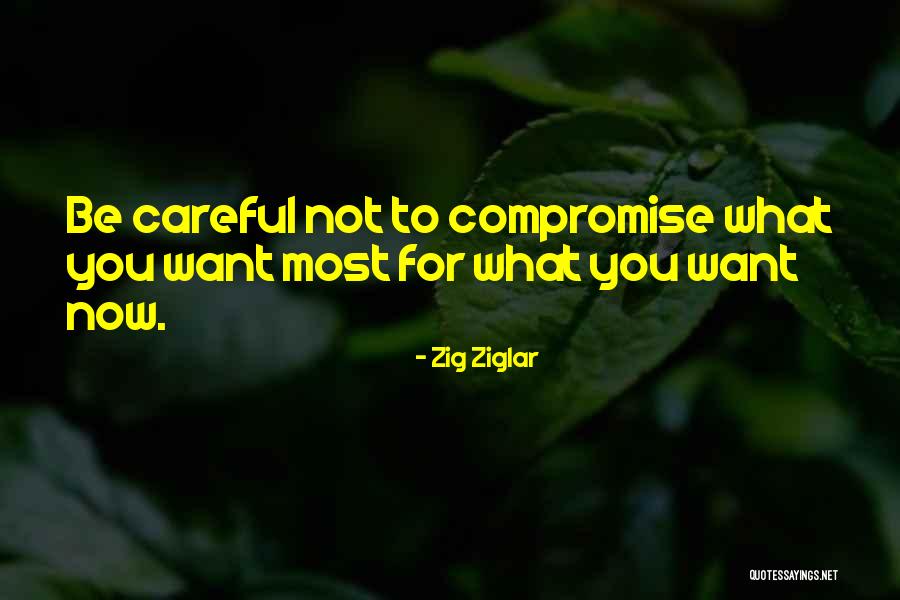Zig Ziglar Quotes 139584