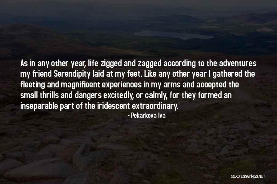 Zigged When I Should Have Zagged Quotes By Pekarkova Iva Zigged When I Should Have Zagged Quotes By Pekarkova Iva