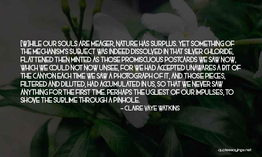 Ziggie And Mad Quotes By Claire Vaye Watkins Ziggie And Mad Quotes By Claire Vaye Watkins