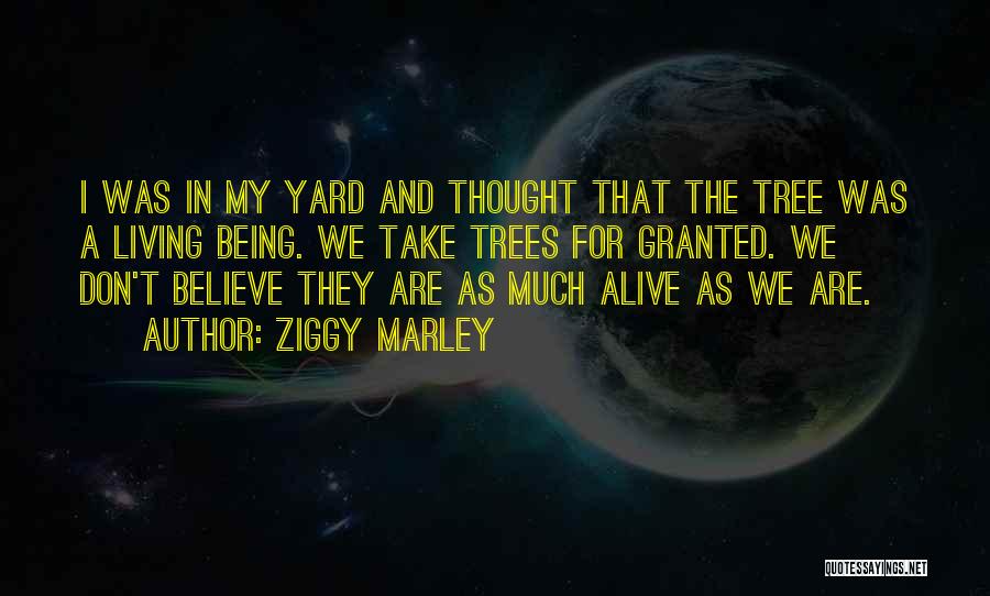 Ziggy Marley Quotes 1595854
