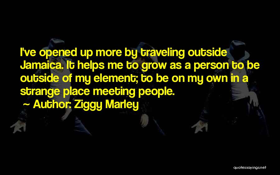 Ziggy Marley Quotes 1839180