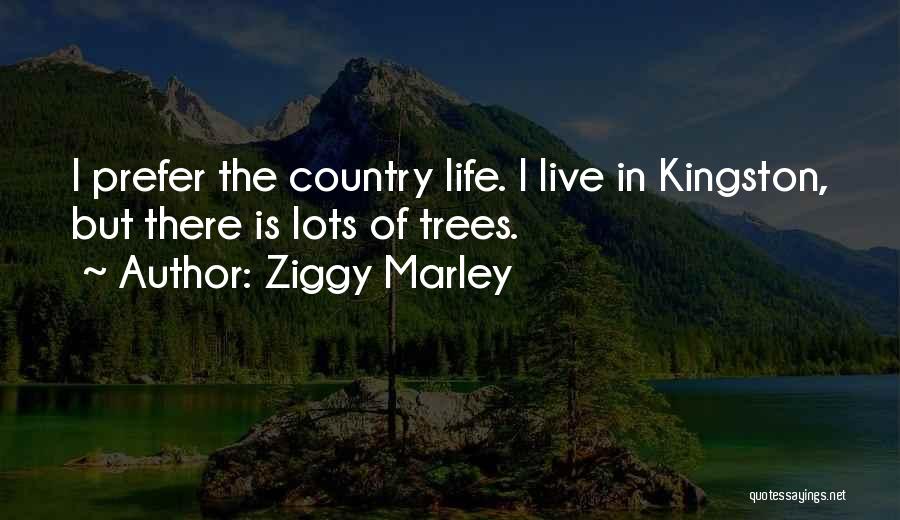 Ziggy Marley Quotes 2167461