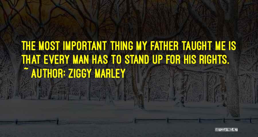 Ziggy Marley Quotes 629072