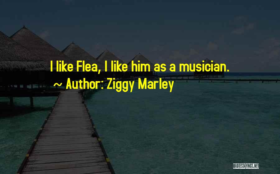 Ziggy Marley Quotes 641070