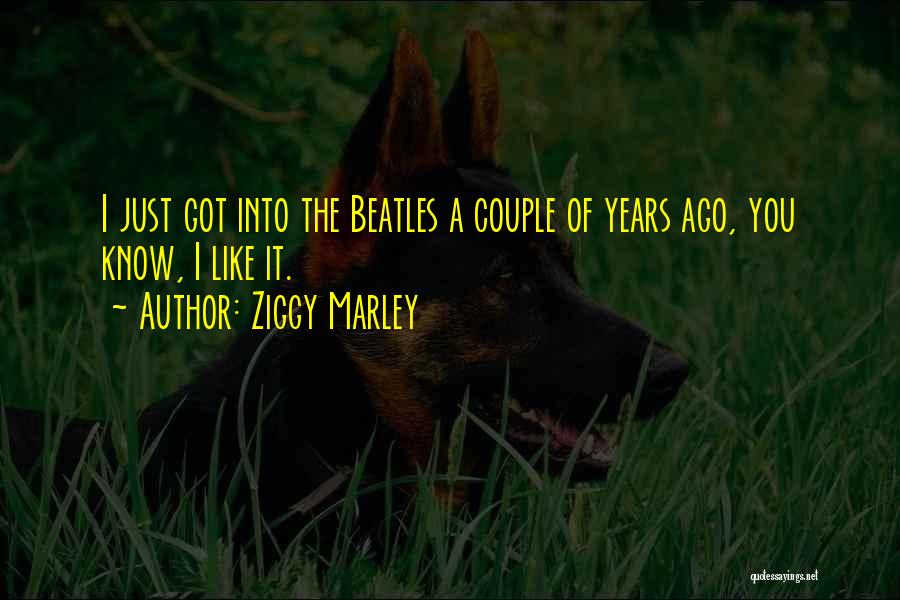 Ziggy Marley Quotes 88642