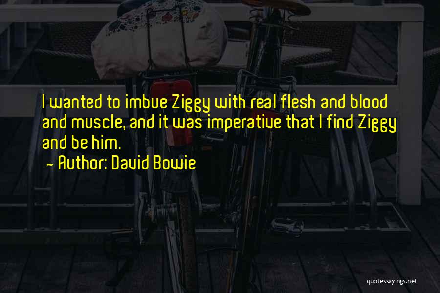 Ziggy Quotes By David Bowie