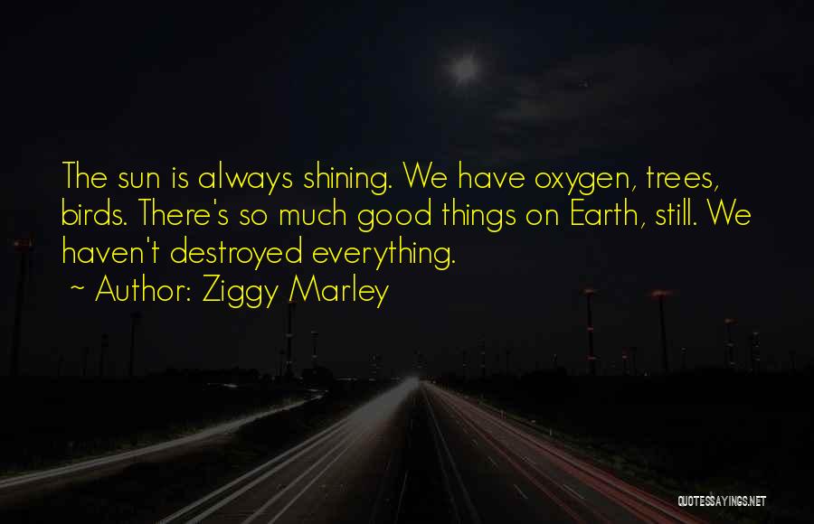 Ziggy Quotes By Ziggy Marley