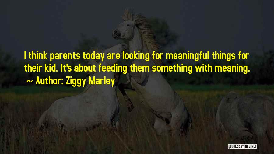 Ziggy Quotes By Ziggy Marley