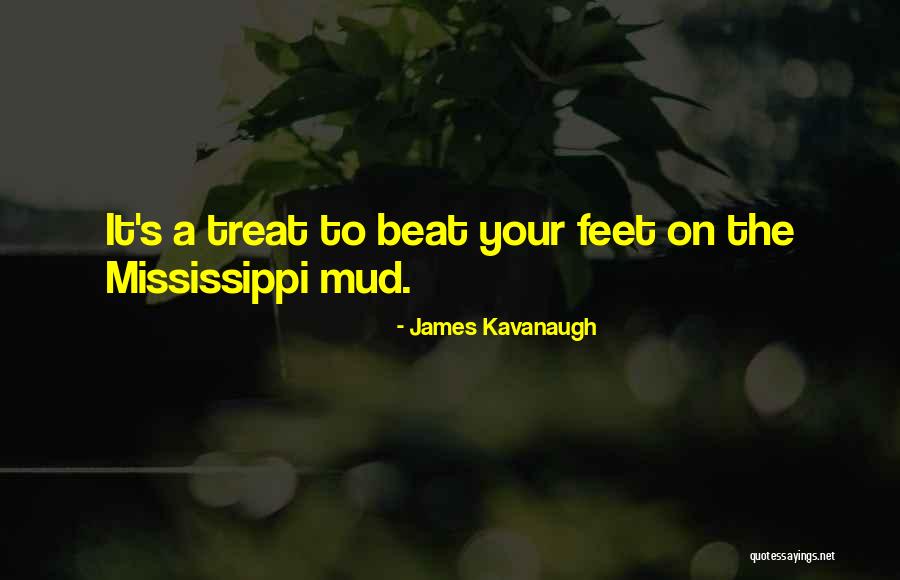 Zigity Quotes By James Kavanaugh
