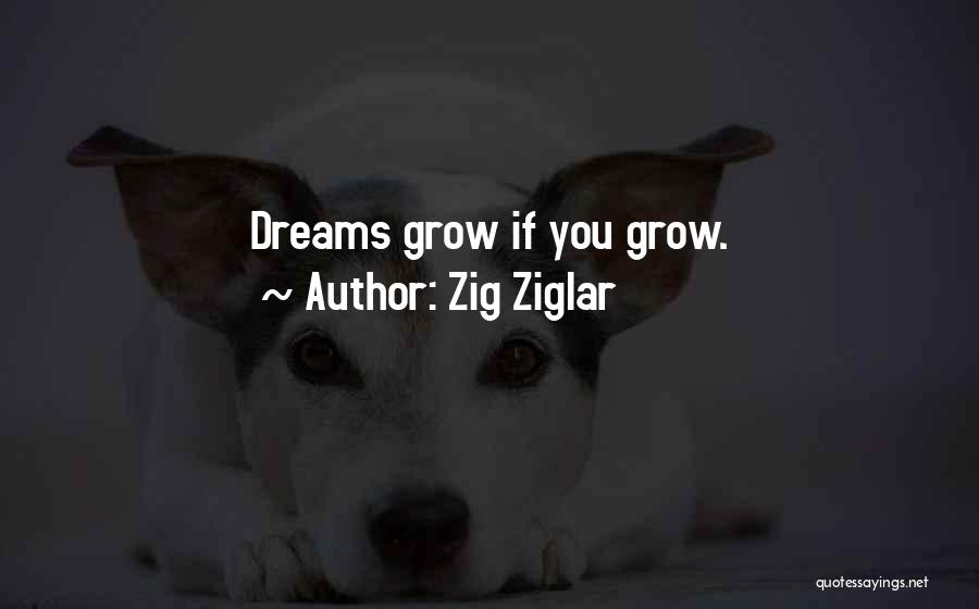 Ziglar Quotes By Zig Ziglar