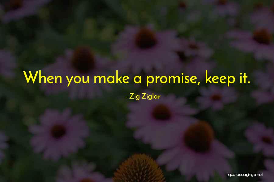 Ziglar Quotes By Zig Ziglar