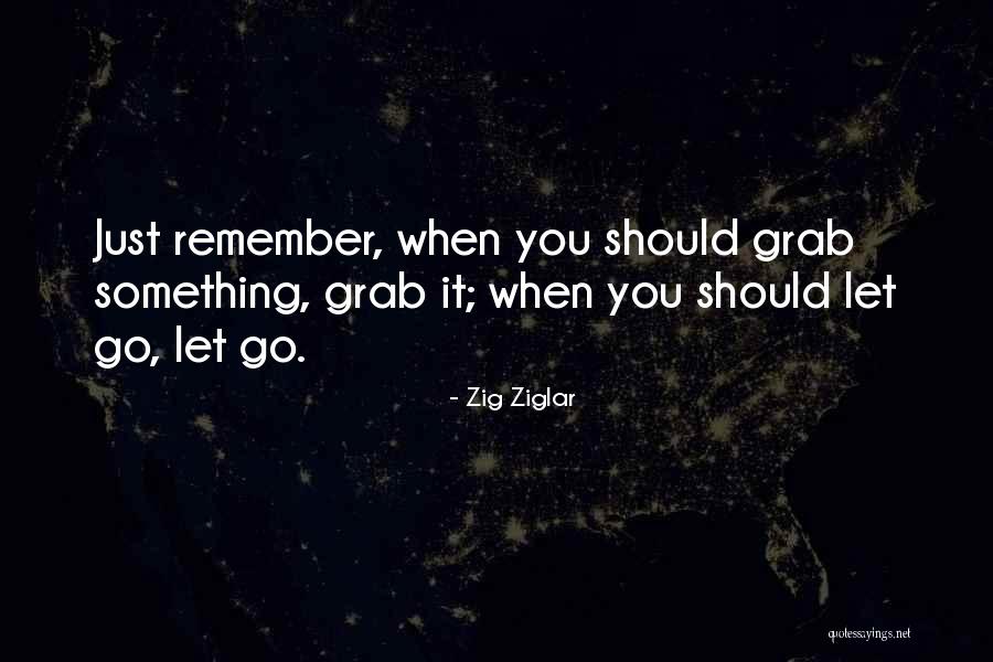 Ziglar Quotes By Zig Ziglar