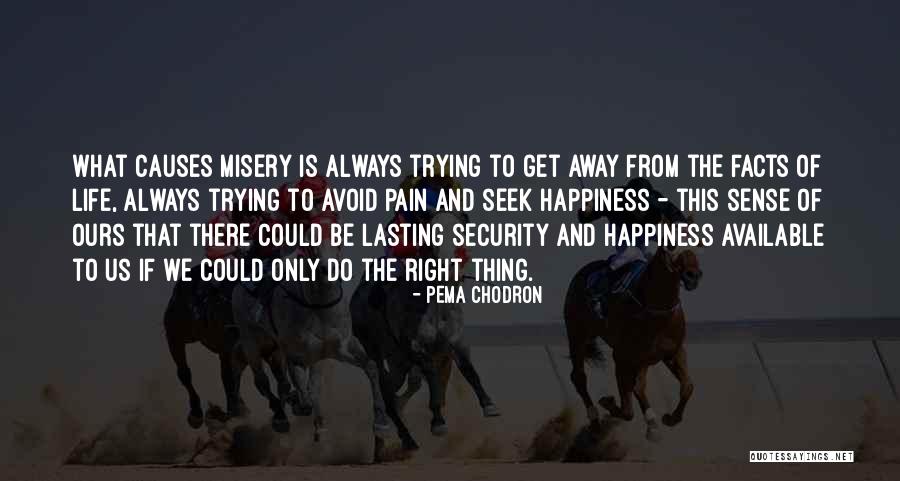 Ziina Dino Quotes By Pema Chodron Ziina Dino Quotes By Pema Chodron