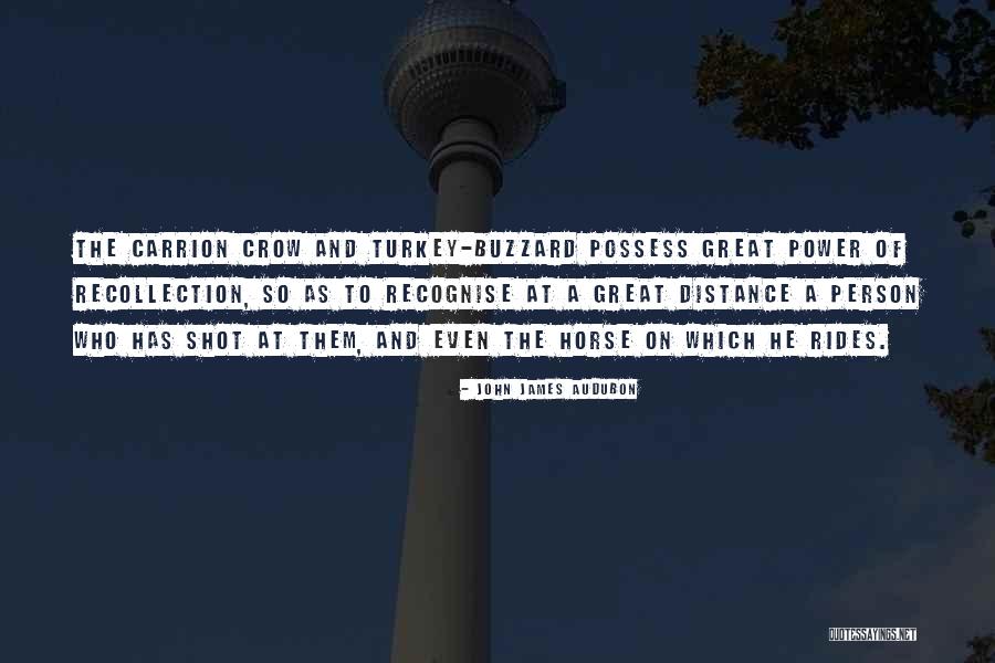Zijpe Quotes By John James Audubon Zijpe Quotes By John James Audubon