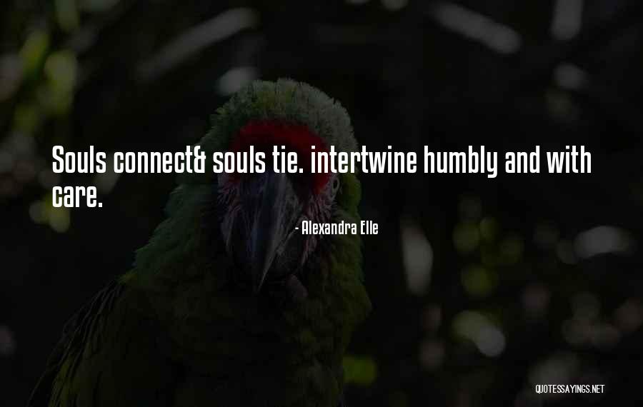 Zikhona Tshona Quotes By Alexandra Elle Zikhona Tshona Quotes By Alexandra Elle