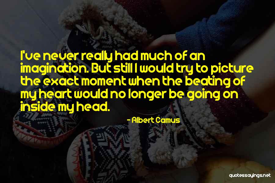 Zillertaler Quotes By Albert Camus Zillertaler Quotes By Albert Camus
