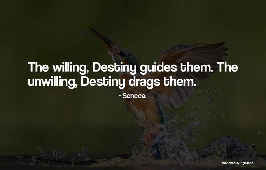 Zilles Fahrrad Quotes By Seneca. Zilles Fahrrad Quotes By Seneca.