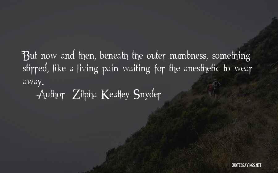 Zilpha Keatley Snyder Quotes 1344894