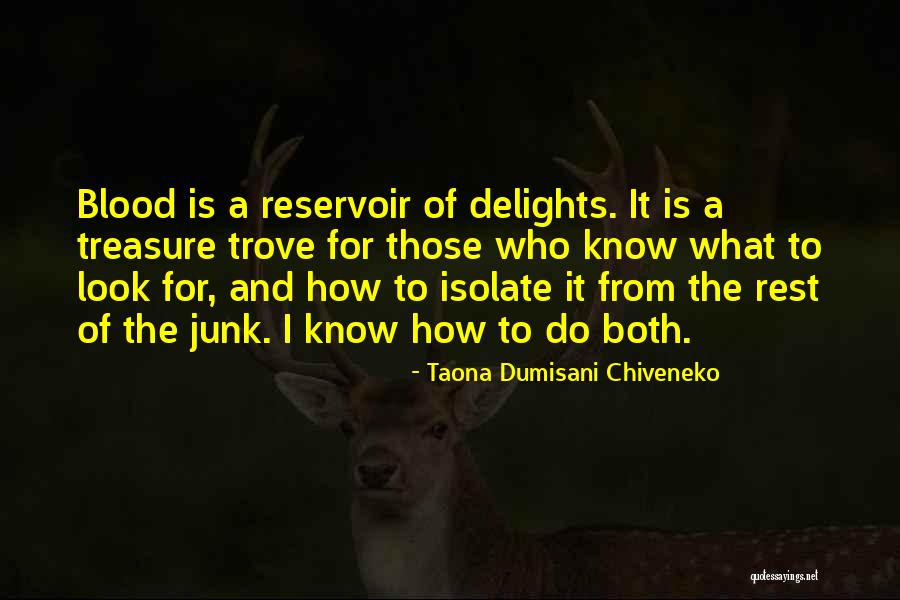 Zimbabwe Africa Quotes By Taona Dumisani Chiveneko