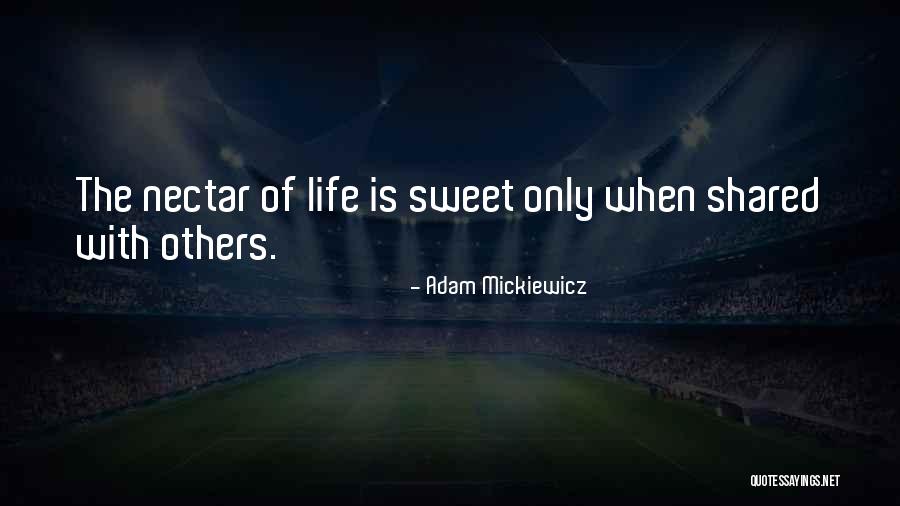 Zimet Ornomentalu Motivu Quotes By Adam Mickiewicz