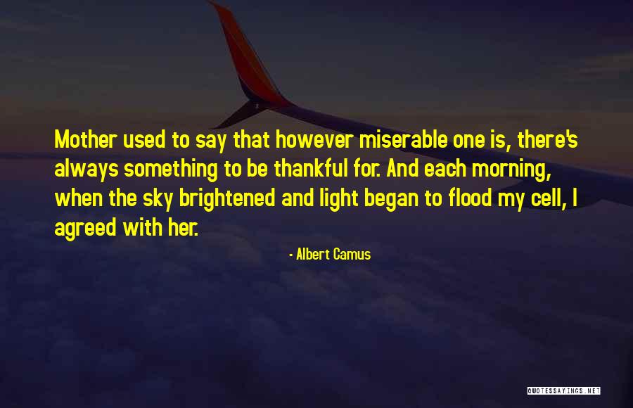 Zimostr Z Quotes By Albert Camus Zimostr Z Quotes By Albert Camus