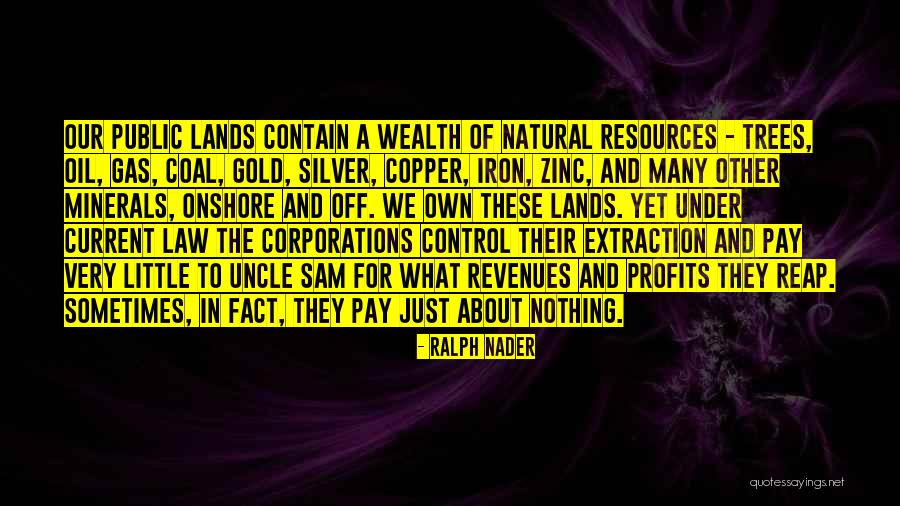Zinc One Resources Quotes By Ralph Nader Zinc One Resources Quotes By Ralph Nader