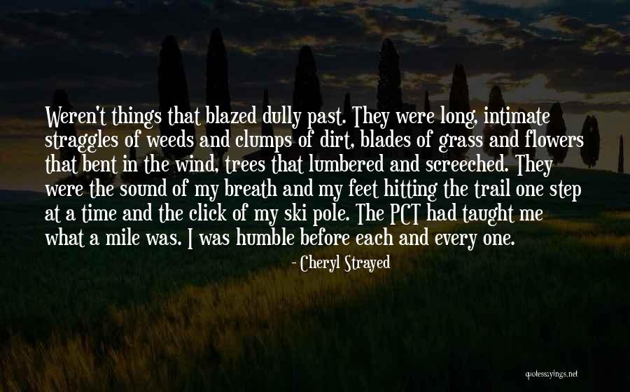 Zindovic Dragan Quotes By Cheryl Strayed Zindovic Dragan Quotes By Cheryl Strayed