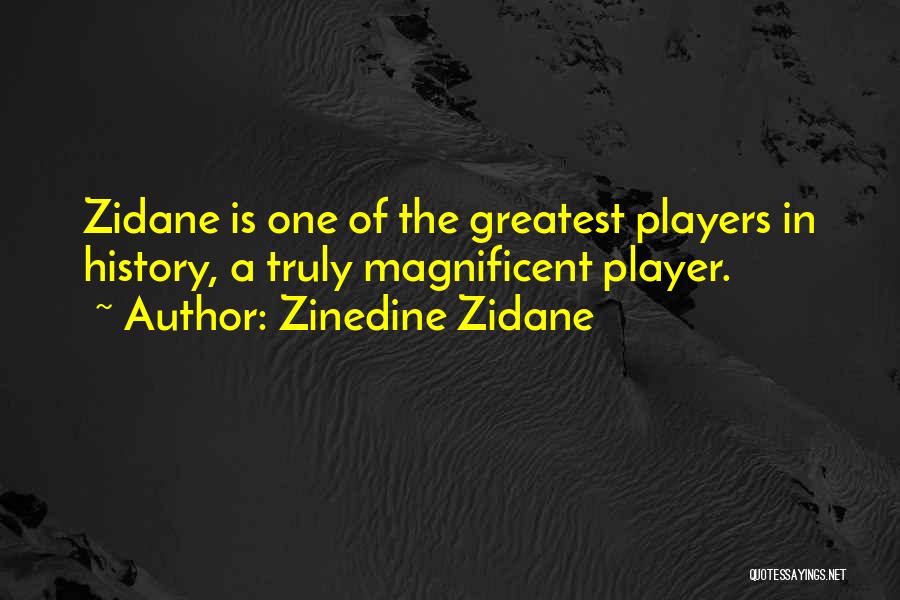 Zinedine Zidane Quotes 1114152