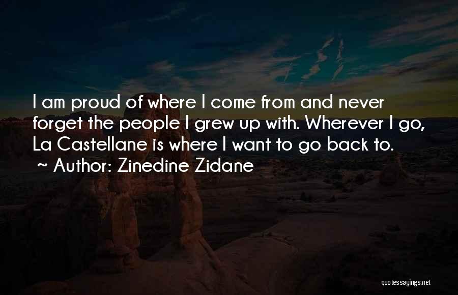 Zinedine Zidane Quotes 1271419