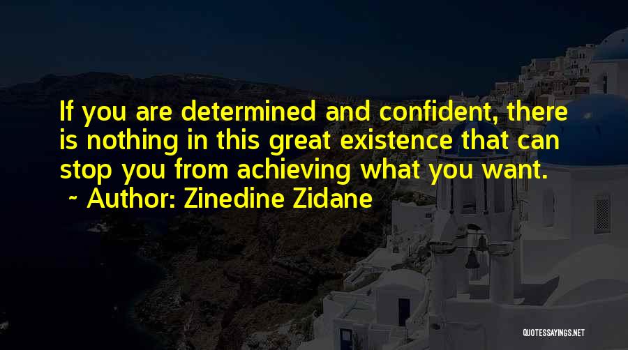 Zinedine Zidane Quotes 1477250
