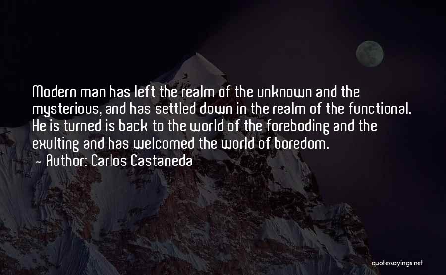 Zinfandel Wine Quotes By Carlos Castaneda