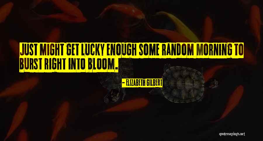 Zingaro Nature Quotes By Elizabeth Gilbert Zingaro Nature Quotes By Elizabeth Gilbert