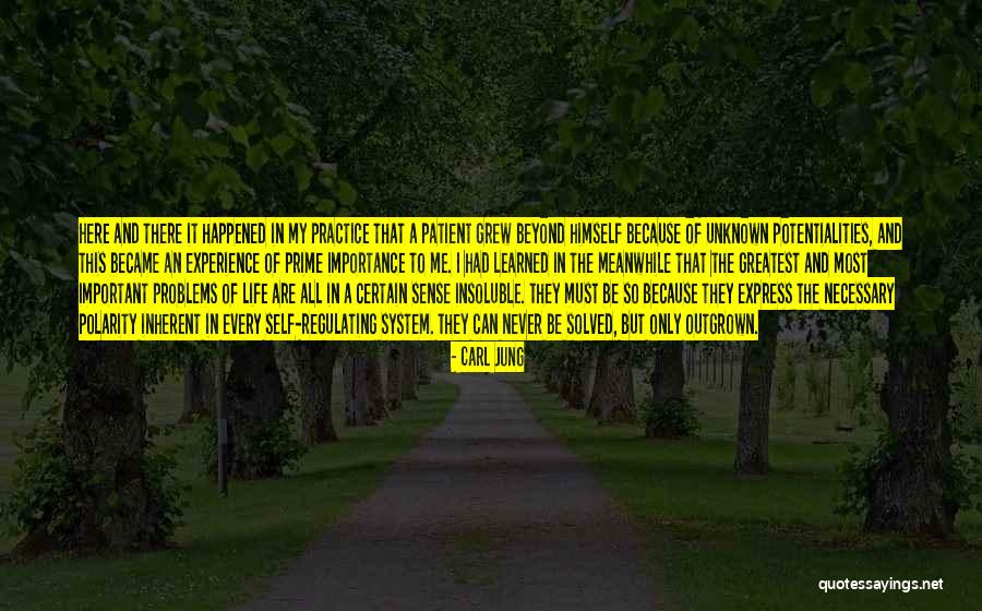 Zingiskan Quotes By Carl Jung Zingiskan Quotes By Carl Jung