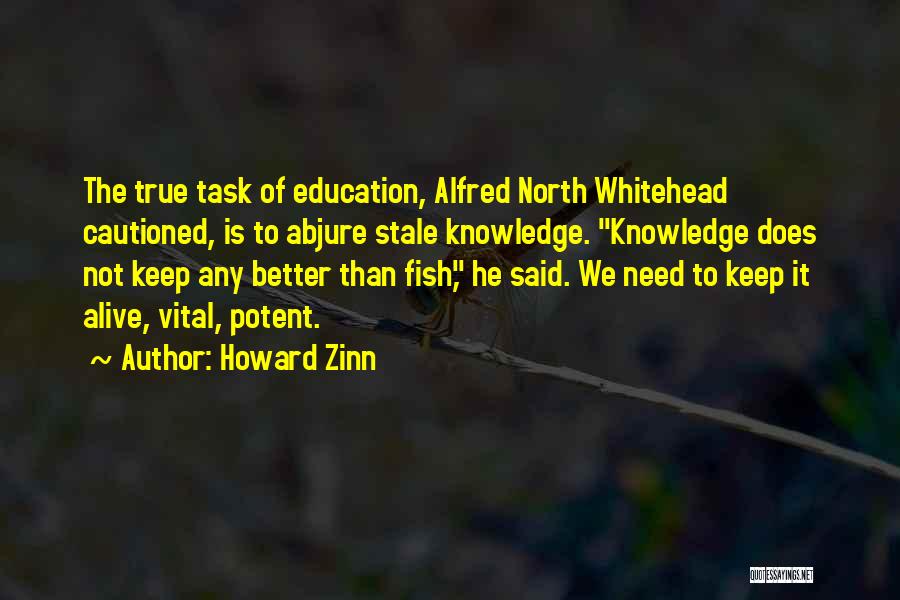 Zinn Quotes By Howard Zinn