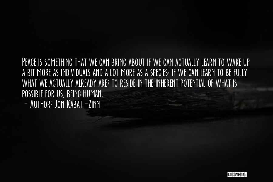 Zinn Quotes By Jon Kabat-Zinn