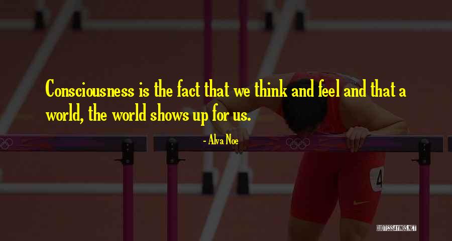 Zintis Skapars Quotes By Alva Noe Zintis Skapars Quotes By Alva Noe