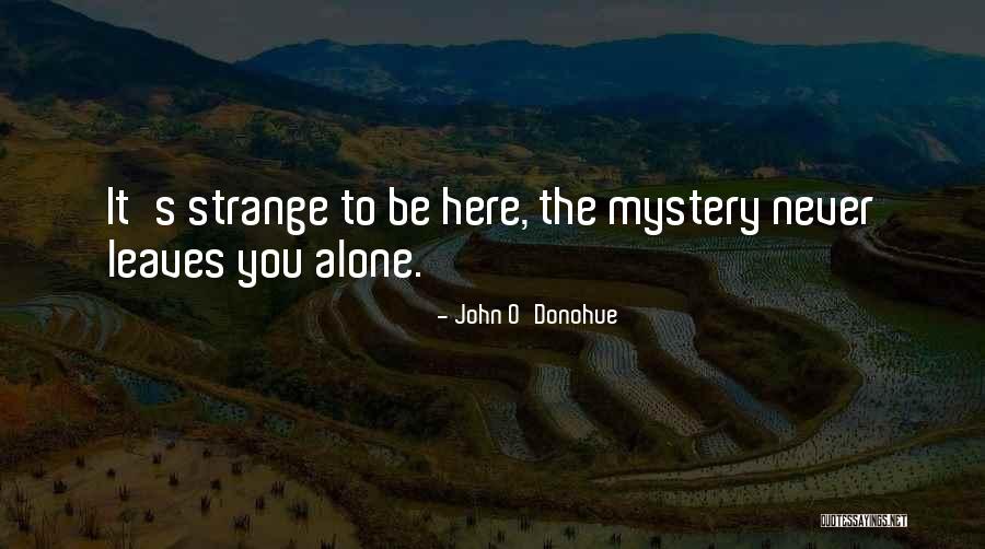 Zipprich Videos Quotes By John O'Donohue Zipprich Videos Quotes By John O'Donohue