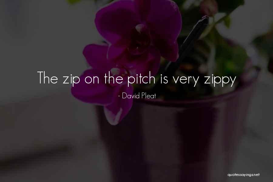 Zips Quotes By David Pleat