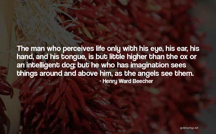 Zitterbarth Quotes By Henry Ward Beecher Zitterbarth Quotes By Henry Ward Beecher