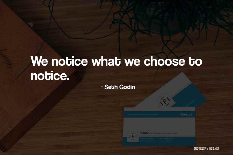 Zivanovich Quotes By Seth Godin